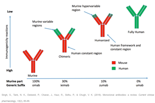 Plot Preview | The 6th Golden Autumn October Antibody Drug Development Conference