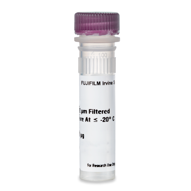 Recombinant Human FGF-basic 147 / FGF-2