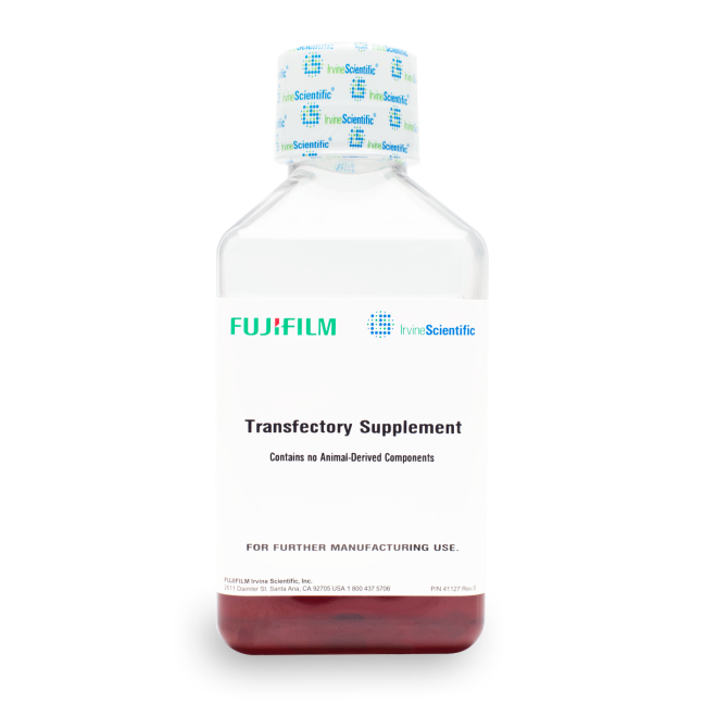 Transfectory Supplement