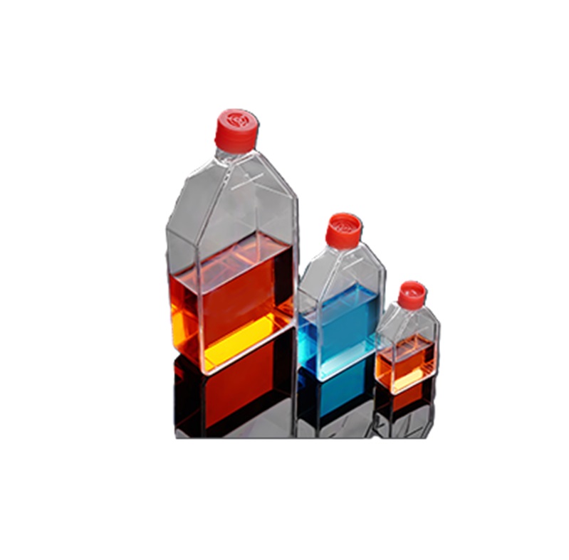 Cell culture bottle